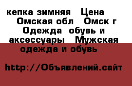 кепка зимняя › Цена ­ 500 - Омская обл., Омск г. Одежда, обувь и аксессуары » Мужская одежда и обувь   